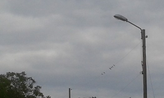 2017-07-26 15.41.08.jpg